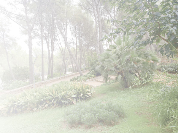Carrusel Image